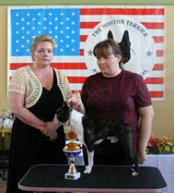 Profile picture of the animal