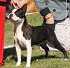 Profile picture of the animal
