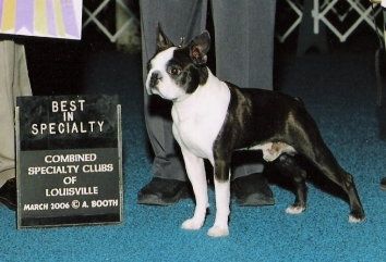 Profile picture of the animal