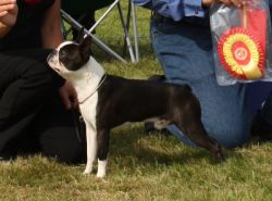 Profile picture of the animal