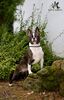 Profile picture of the animal