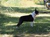 Profile picture of the animal