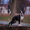 Profile picture of the animal