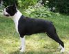 Profile picture of the animal
