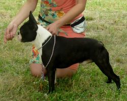 Profile picture of the animal