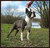 Profile picture of the animal