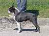Profile picture of the animal