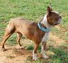 Profile picture of the animal