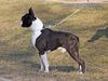 Profile picture of the animal