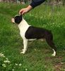 Profile picture of the animal