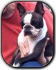 Profile picture of the animal