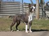 Profile picture of the animal