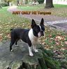 Profile picture of the animal