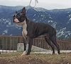 Profile picture of the animal