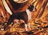 Profile picture of the animal