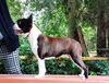 Profile picture of the animal
