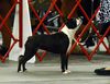 Profile picture of the animal