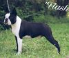 Profile picture of the animal
