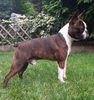 Profile picture of the animal