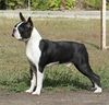 Profile picture of the animal