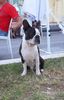 Profile picture of the animal