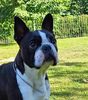 Profile picture of the animal