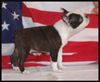 Profile picture of the animal