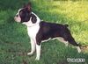 Profile picture of the animal