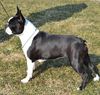 Profile picture of the animal