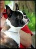 Profile picture of the animal