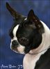 Profile picture of the animal