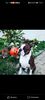 Profile picture of the animal