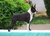 Profile picture of the animal