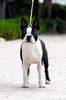 Profile picture of the animal