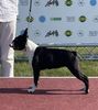 Profile picture of the animal