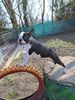 Profile picture of the animal
