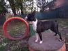 Profile picture of the animal