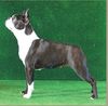 Profile picture of the animal