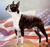 Profile picture of the animal