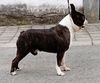 Profile picture of the animal